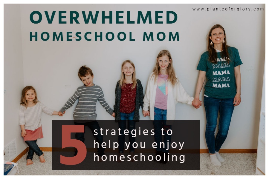 homeschool tips