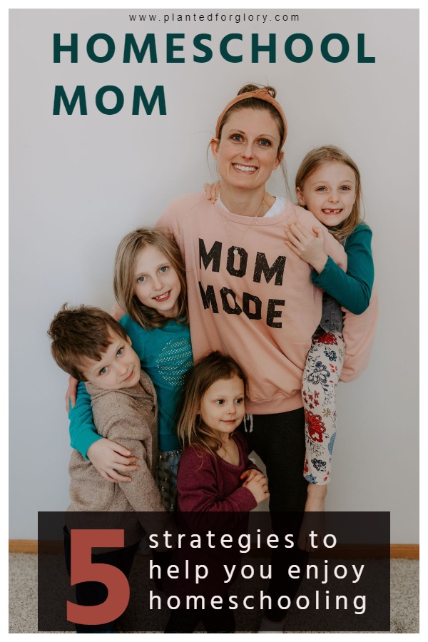 homeschool mom advice