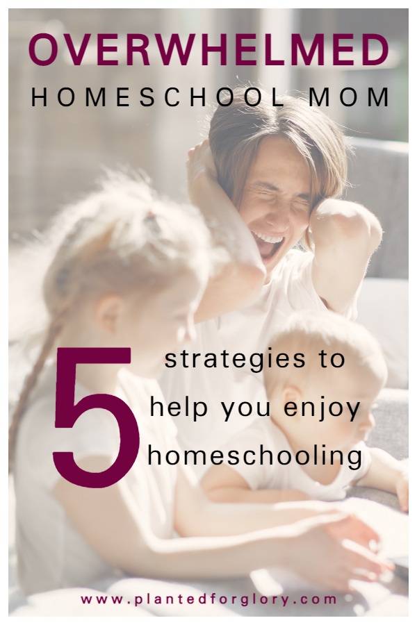 homeschool advice