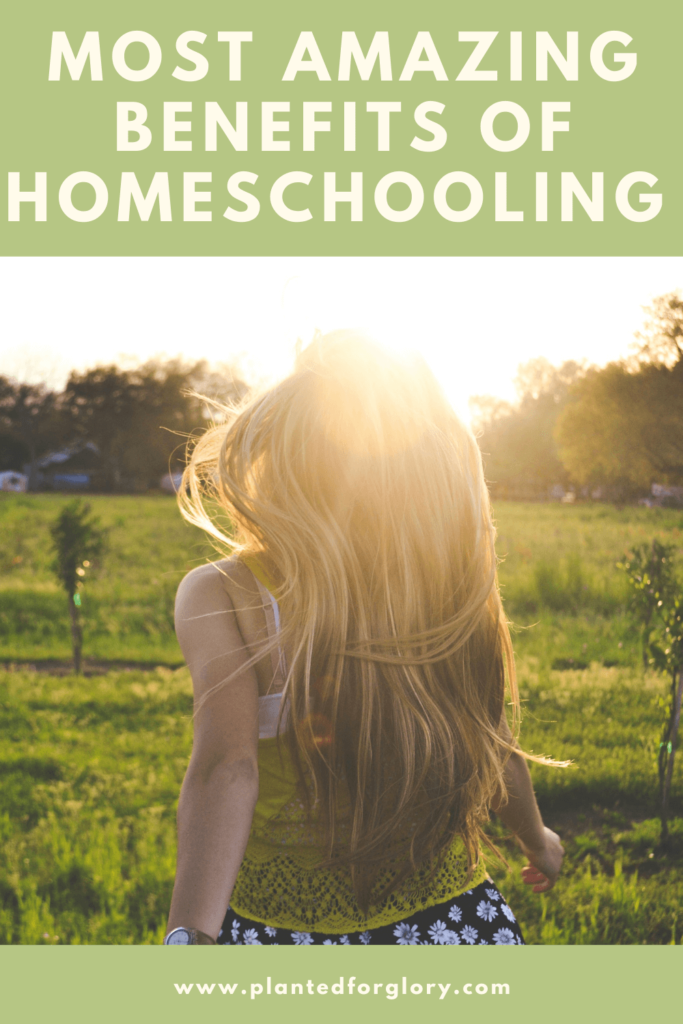 benefits of homeschooling